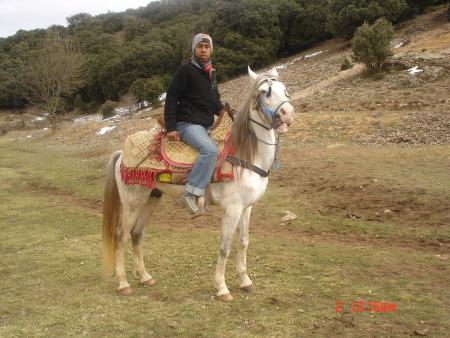 a 3in vitale a ifran